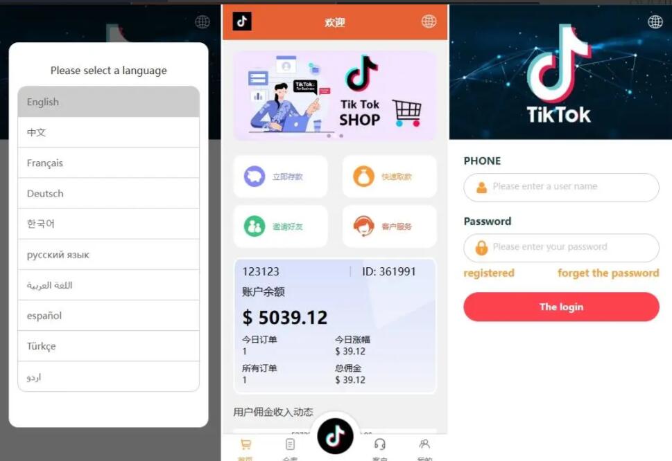 海外tiktok抢单刷单系统/前端uniapp/多语言刷单打针